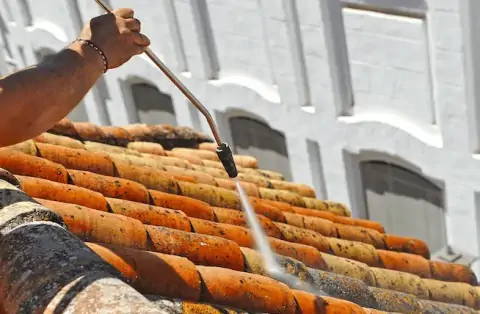 Nettoyage de toitures - Lothey